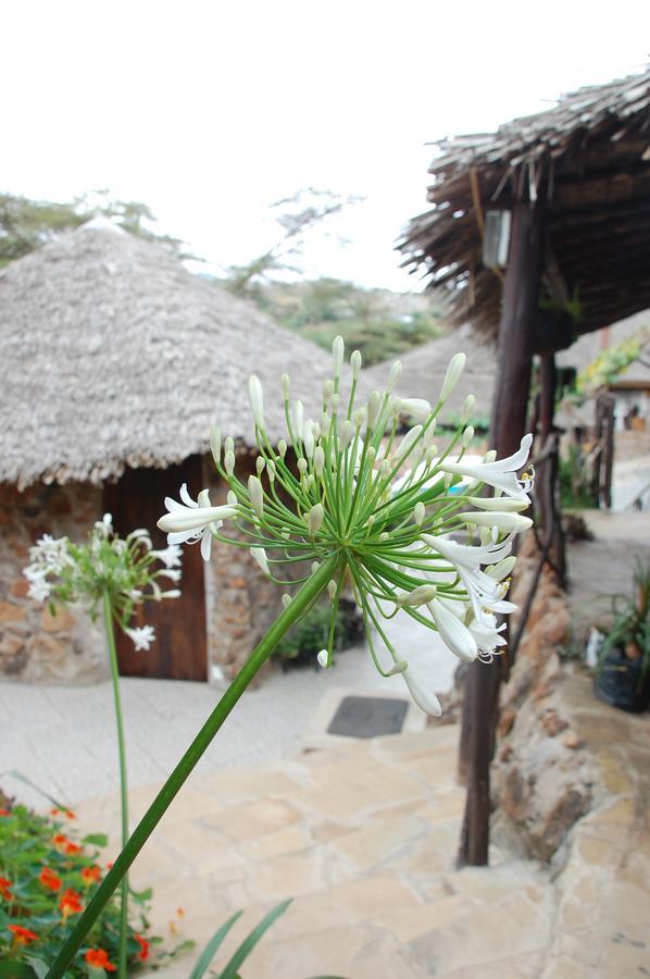 Osoita Lodge Nairobi Exterior foto